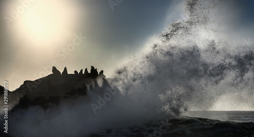 Seascape of storm morning. The colony of seals on the rocky island in the ocean. Waves breaking in spray on a stone island.  Mossel bay. South Africa