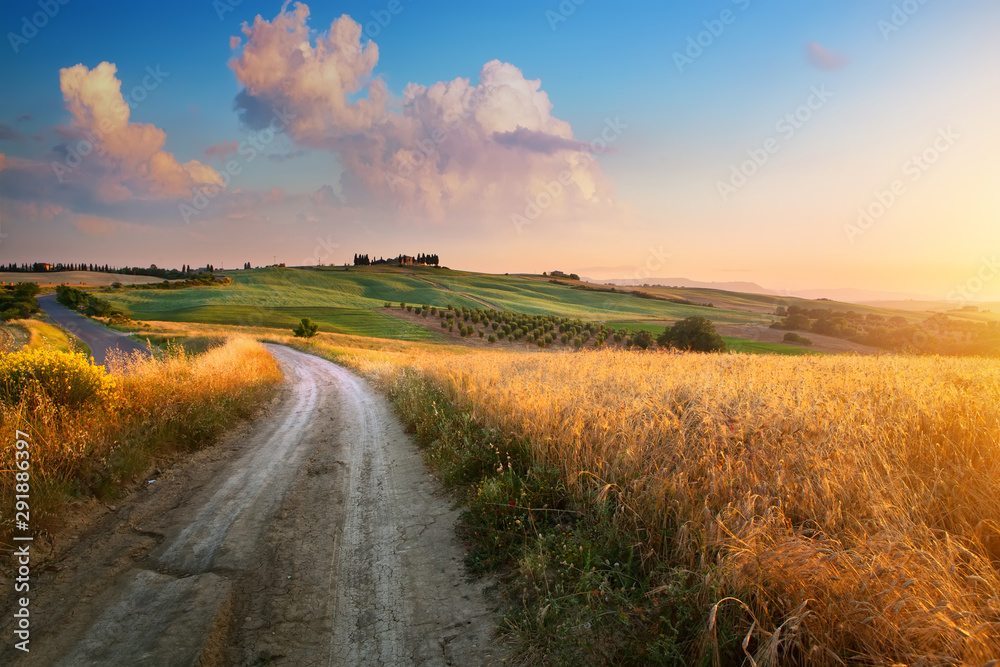 Fototapeta premium Italy autumn countryside landscape, dirty road and farmland over sunset sky