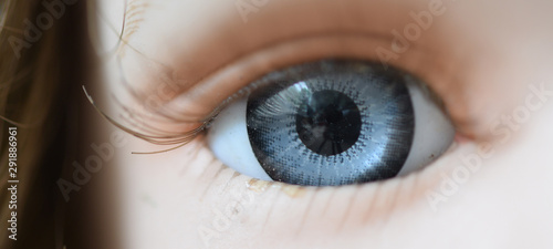 Macro image of a doll's eye