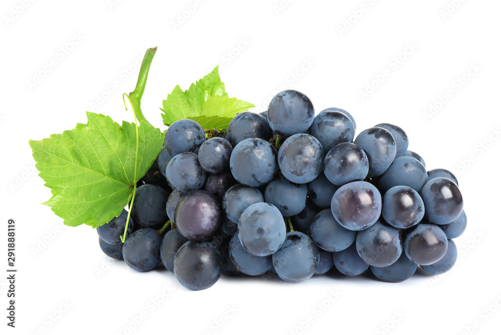 Bunch of fresh ripe juicy black grapes isolated on white Bunch of fresh ripe juicy black grapes isolated on white
