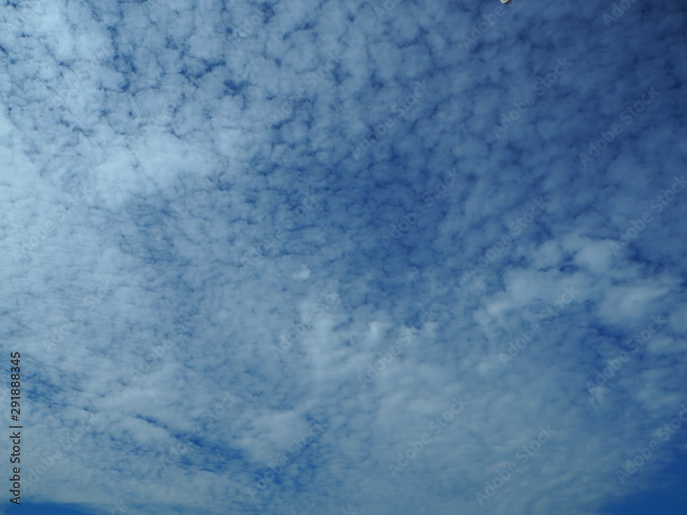 秋の空のうろこ雲