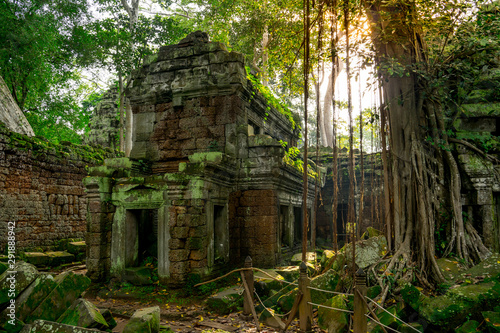 Ancient religion temple with giant tree growing on the top in temple complex Cambodia 
