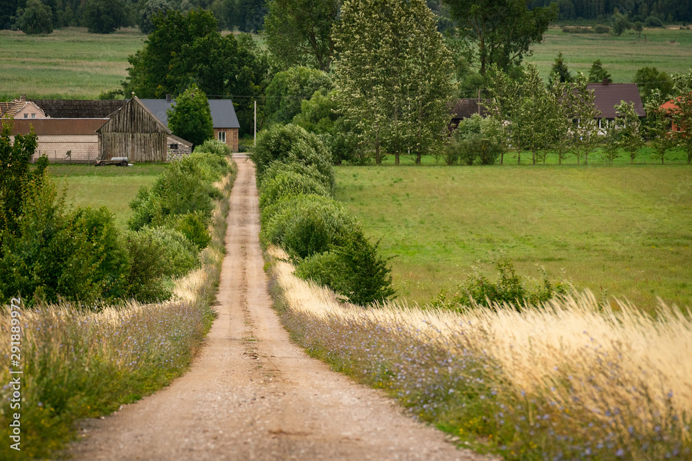 path in the field.