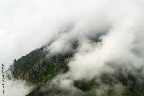 fog on top of mountain