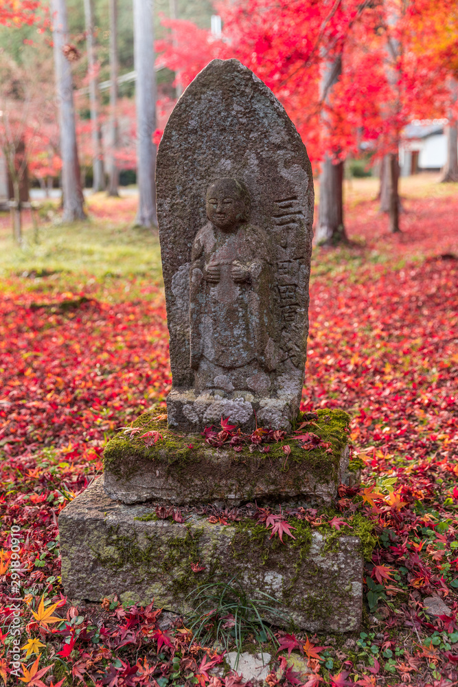 Fototapeta premium 寝転びたくなるような燃えるように赤い紅葉の絨毯