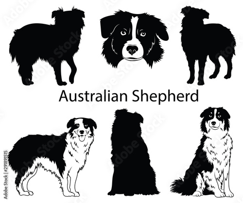 Australian shepherd set. Collection of pedigree dogs. Black white illustration of a australian shepherd dog. Vector drawing of a pet. Tattoo.