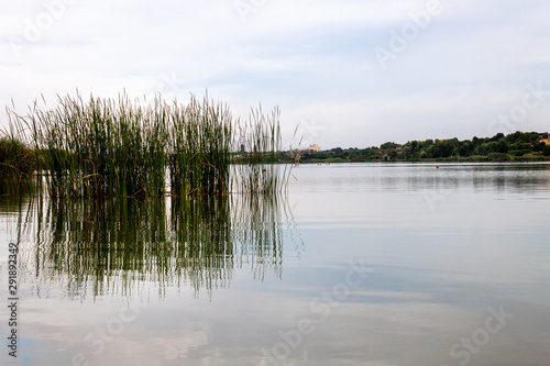 Beautiful reflections in the water in the freshwater lagoon. El Pla d'urgell, Catalonia, Ivars Vilasana lagoon.
