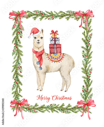 Watercolor vector Christmas card Llama or alpaca and fir branches.