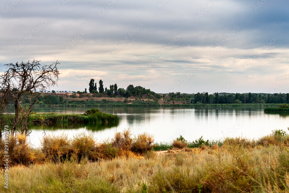 Nice views of the freshwater lake with wild vegetation. El Pla d'Urgell, Catalonia, Ivars Vilasana Lagoon