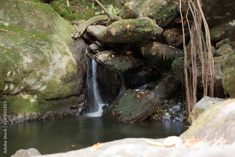 Fototapeta premium El agua en estado puro, la cascada
