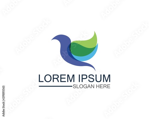 Bird logo template design vector, concept creative icon