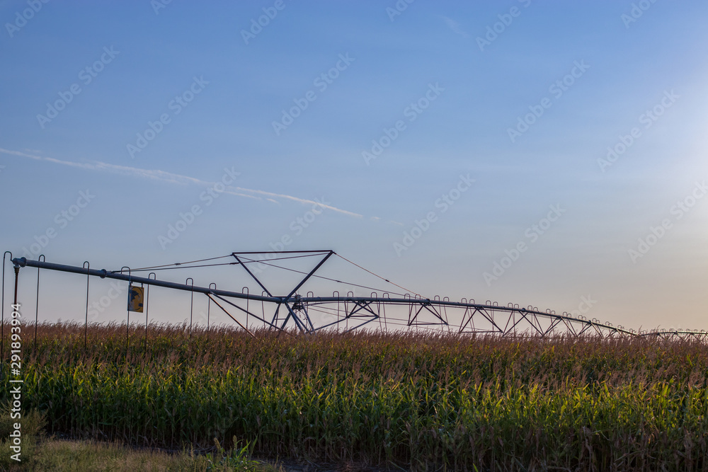 irrigation of field irrigation of field