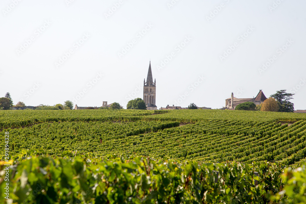 landscape view Vineyards at Saint Emilion village in Bordeaux