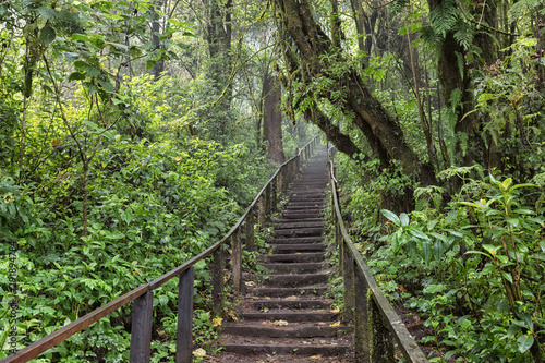 Lagoon Chikabal  Stairs in the Forest  Guatemala