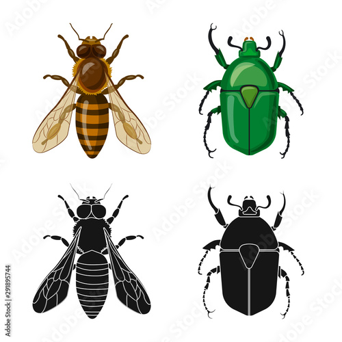 Vector illustration of insect and fly icon. Set of insect and element vector icon for stock.
