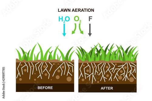Vector illustration with lawn aeration.