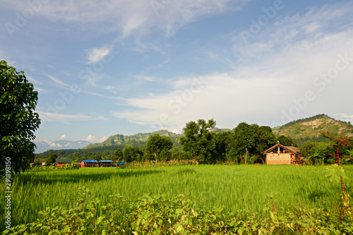 Traditional Nepali House