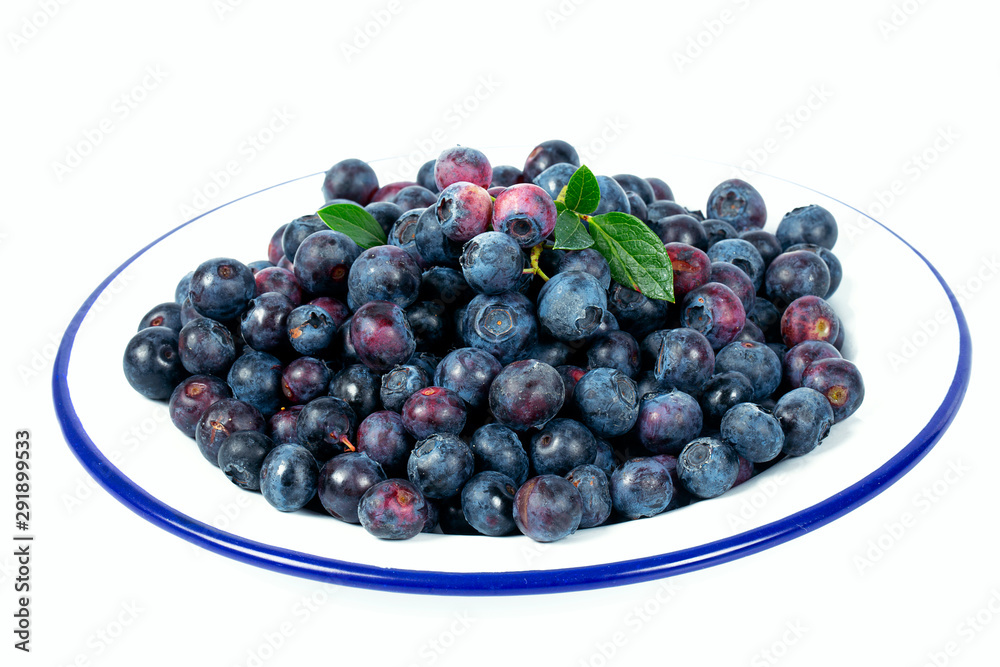 fresh blueberries in mettalic plate fresh blueberries in mettalic plate