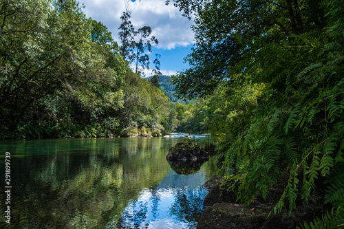 Parc naturel Fraga de Eume, Galice, Espagne photo