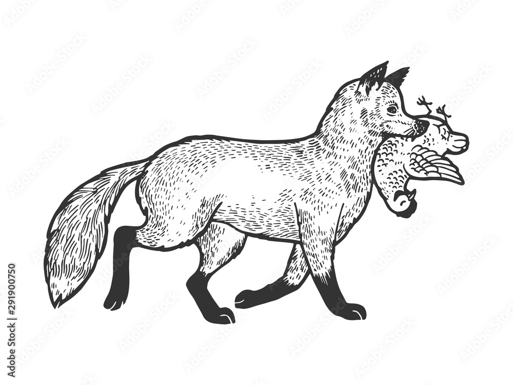 Fototapeta premium Fox with chicken in mouth sketch engraving vector illustration. Tee shirt apparel print design. Scratch board style imitation. Black and white hand drawn image.