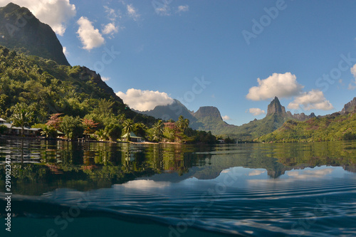 baie de opunohu - moorea photo