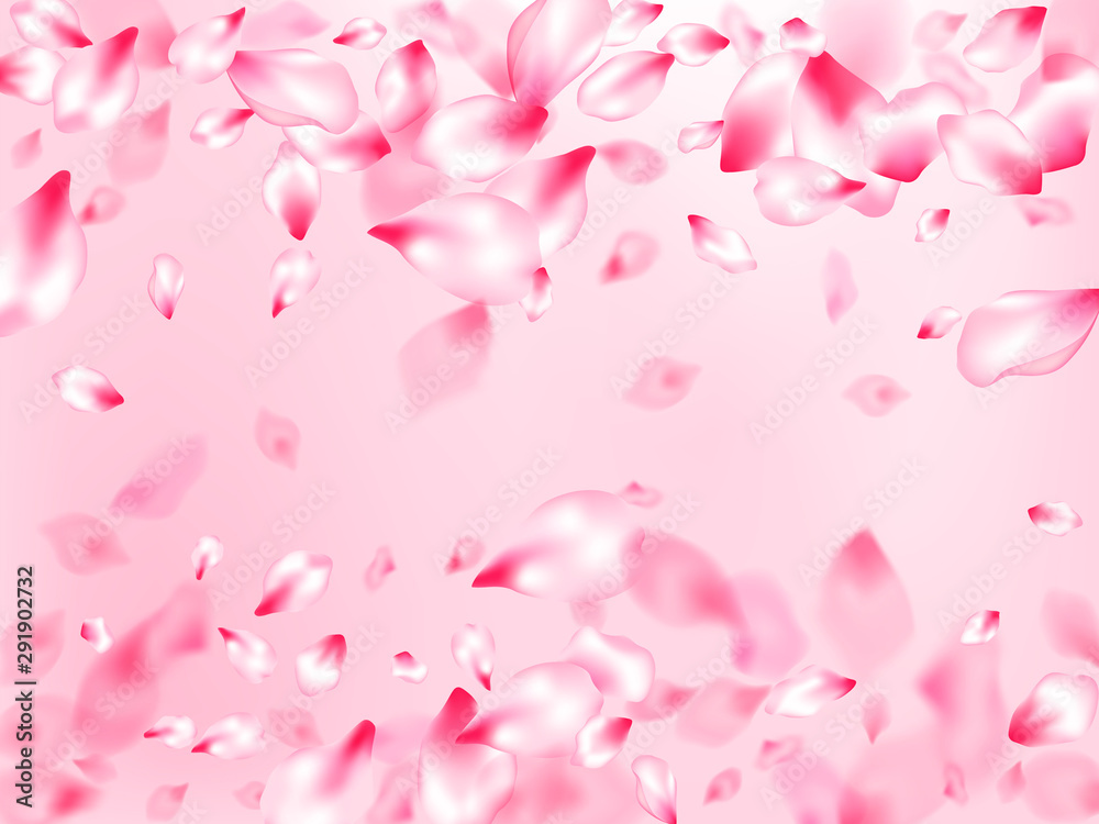 Pink sakura petals confetti flying and falling Pink sakura petals confetti flying and falling