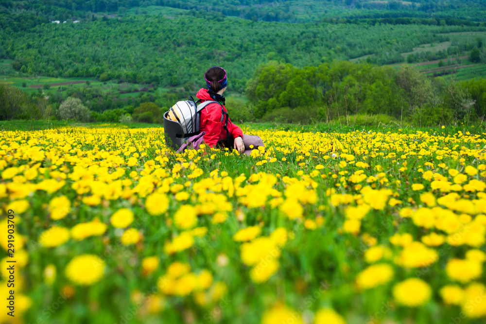 girl sitting on a dandelion field