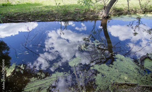 LANDSCAPE 4