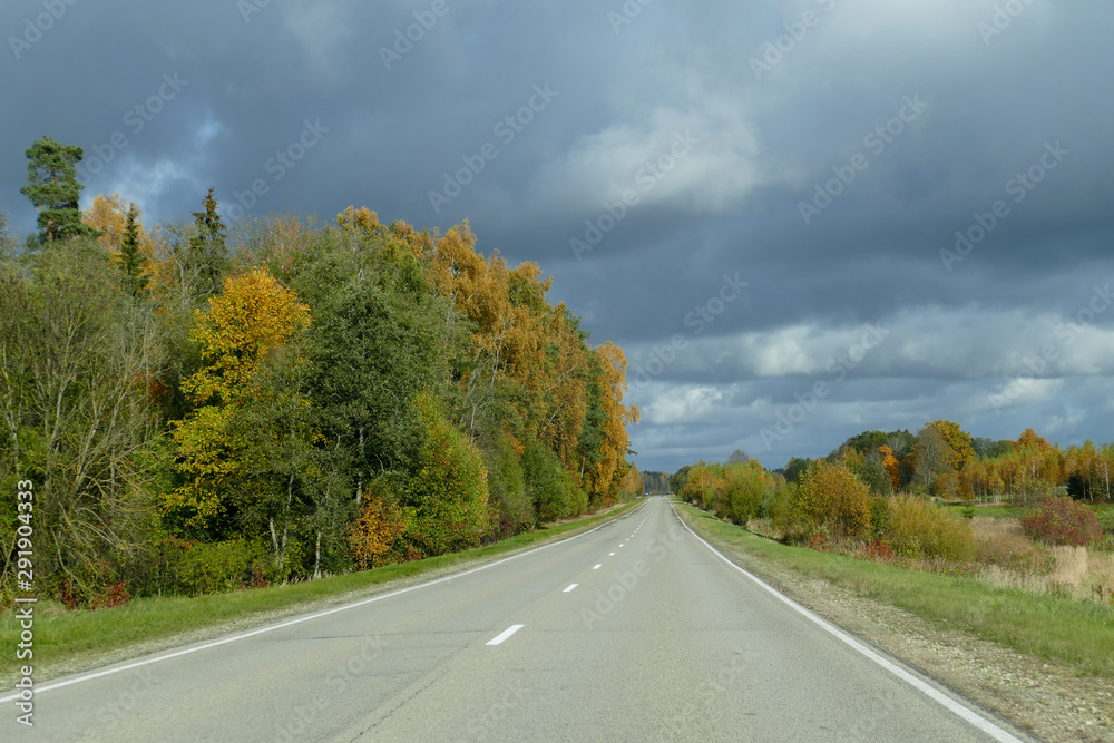 Autumn scene with winding asphalt road in the countryside. 