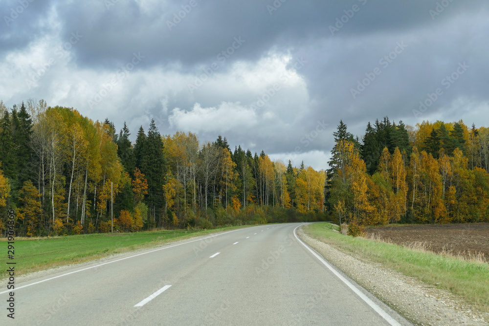Fototapeta premium Autumn scene with winding asphalt road in the countryside. 
