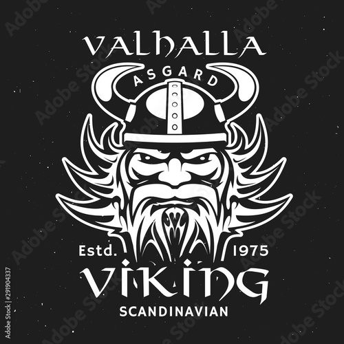Viking head in horned helmet, Valhalla Asgard