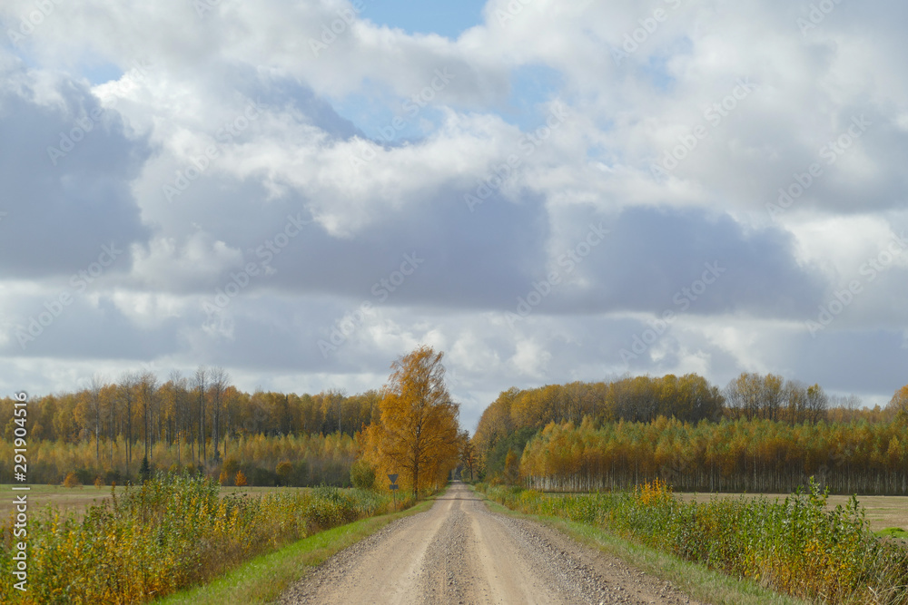 Autumn scene with winding asphalt road in the countryside. 
