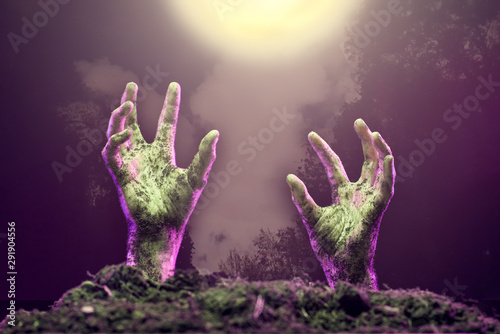 Vászonkép Photo of two zombie hands sticking out of grave.