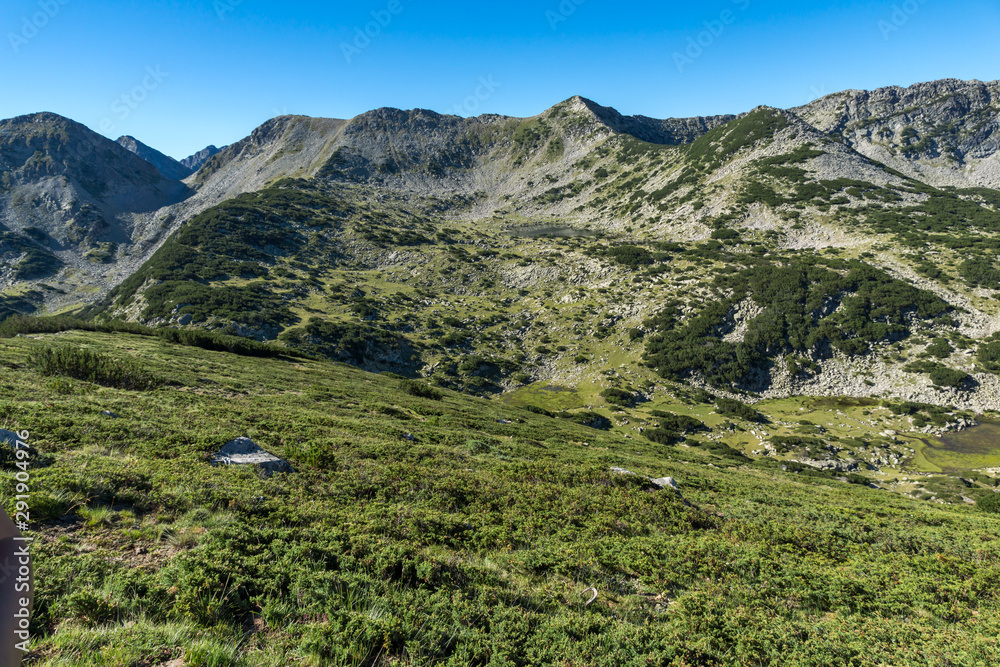 Naklejka premium Summer landscape of Pirin Mountain, Bulgaria