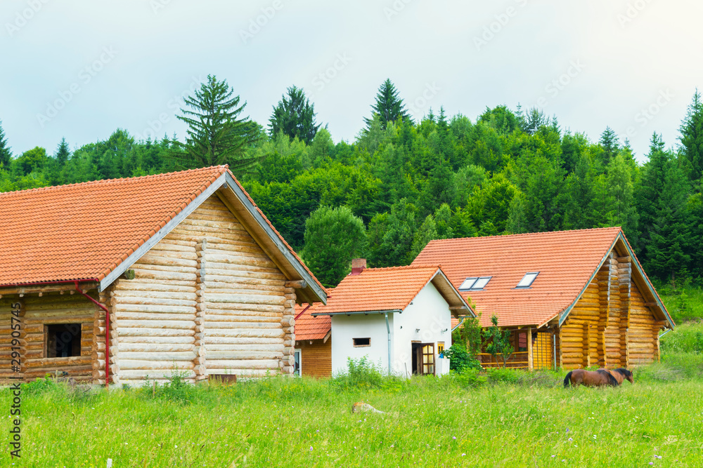 raw round log chalet build at the edge of the forest