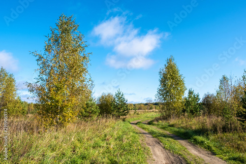 Beautiful autumn landscape with a dirt road on a sunny day.