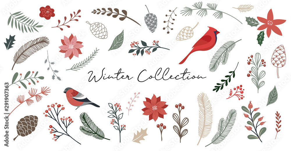 Obraz Botaniczne Boże Narodzenie, Boże Narodzenie elementy, zimowe kwiaty, liście, ptaki i szyszki na białym tle.
