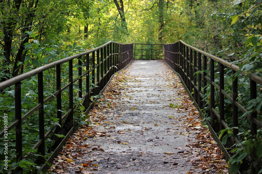 small iron bridge with old iron wheel in the countryside small iron bridge with old iron wheel in the countryside