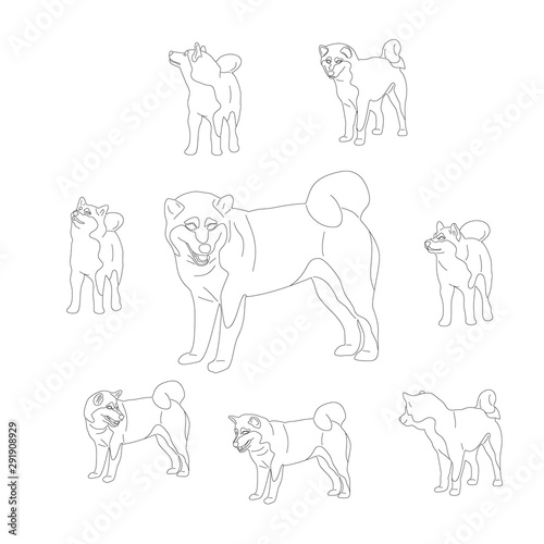 Set of shiba inu dogs. Isolated on white background. Flat style monochrome black and white cartoon stock vector