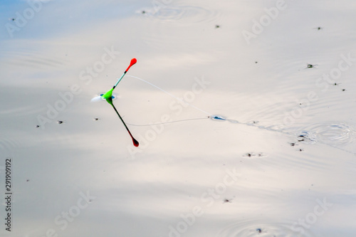 Fishing float on the water surface.