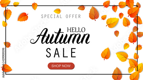 Hello autumn sale lettering banner. Special offer discount poster with fall golden leaves. Autumn seasonal design template shopping promotion advertising isolated on white. Vector illustration for web