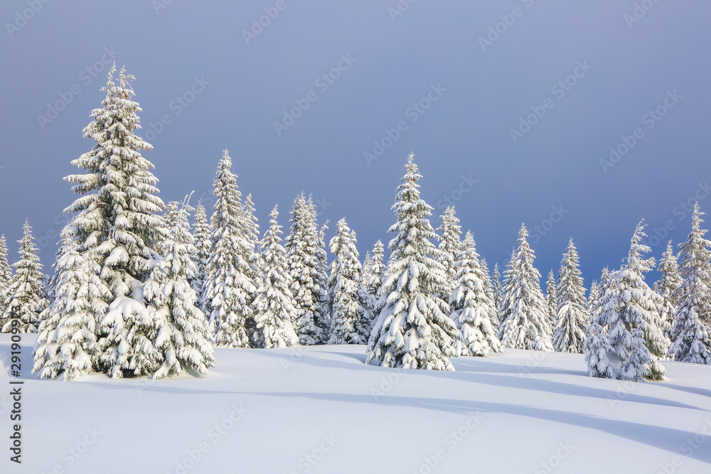Beautiful landscape on the cold winter morning. Lawn and forests. Location place the Carpathian Mountains, Ukraine, Europe. Beautiful landscape on the cold winter morning. Lawn and forests. Location place the Carpathian Mountains, Ukraine, Europe.