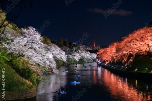 People enjoy boating in the canal at Chidorigafuchi Park with illuminated cherry blossoom tree with pink and orange color. photo