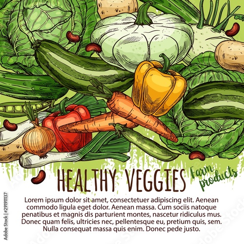Vector veggies and farm products