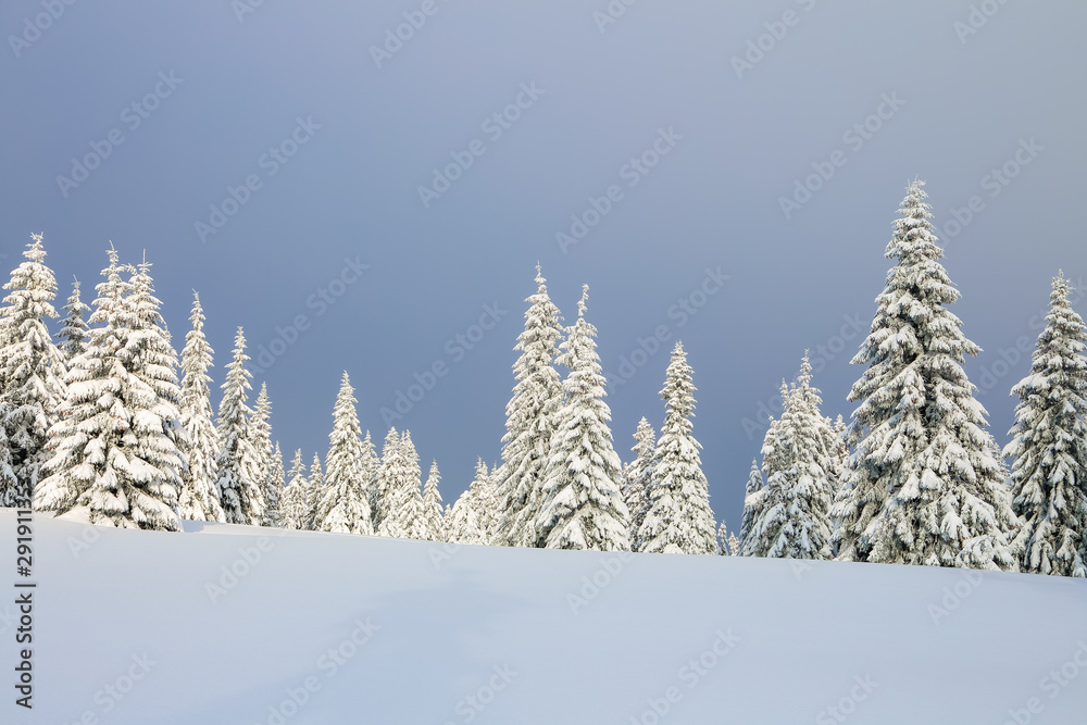 Beautiful landscape on the cold winter morning. Lawn and forests. Location place the Carpathian Mountains, Ukraine, Europe. Beautiful landscape on the cold winter morning. Lawn and forests. Location place the Carpathian Mountains, Ukraine, Europe.