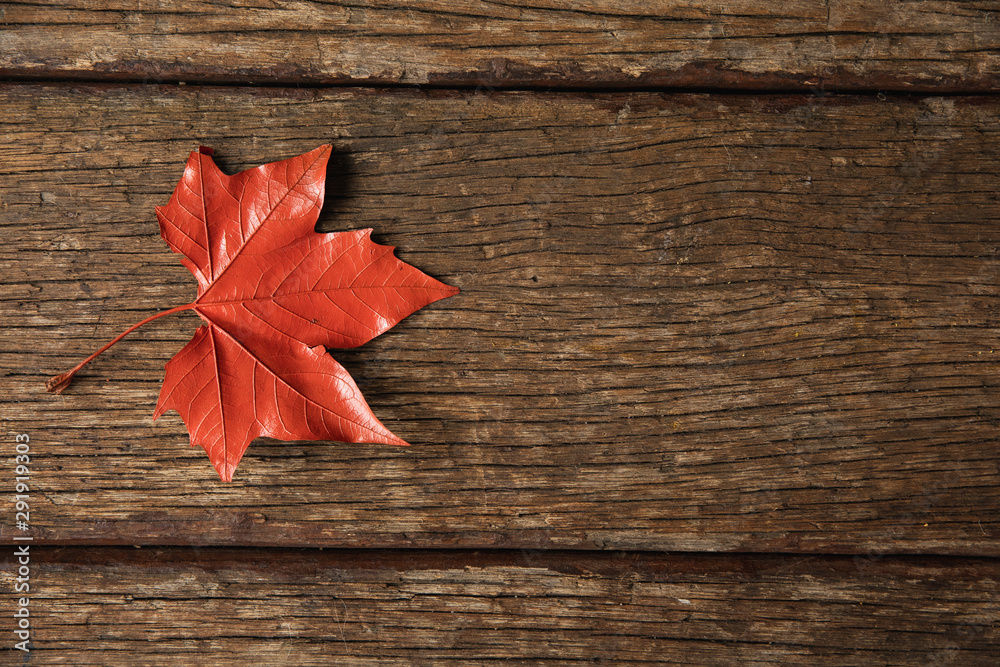 Autumn flat lay with leaves Autumn flat lay with leaves