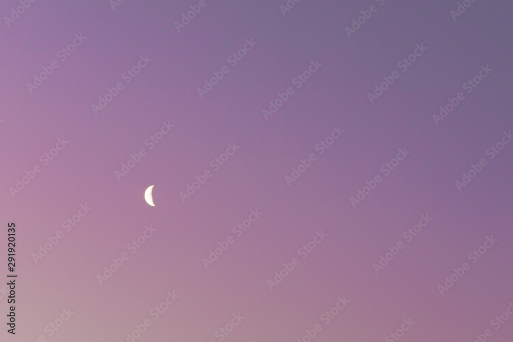 Evening gradient purple pink peach sky with crescent moon, copy space Evening gradient purple pink peach sky with crescent moon, copy space