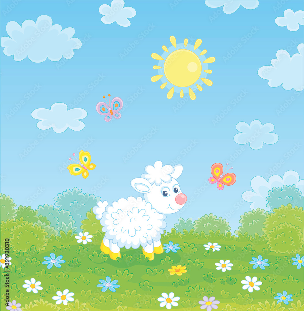 Little white lamb and flittering colorful butterflies among flowers on green grass of a meadow on a sunny summer day, vector illustration in a cartoon style
