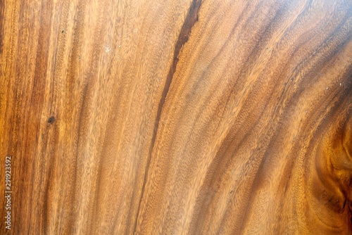 Texture Background of Wooden Wood