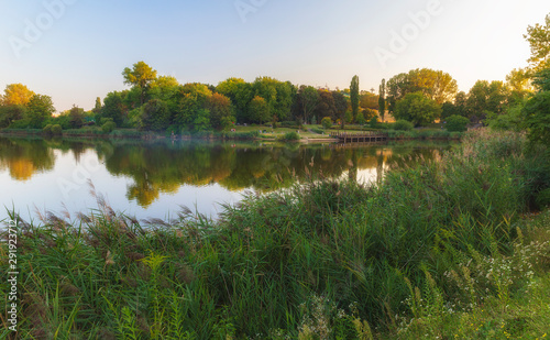Resting people on the shore of a beautiful pond. © alexmu
